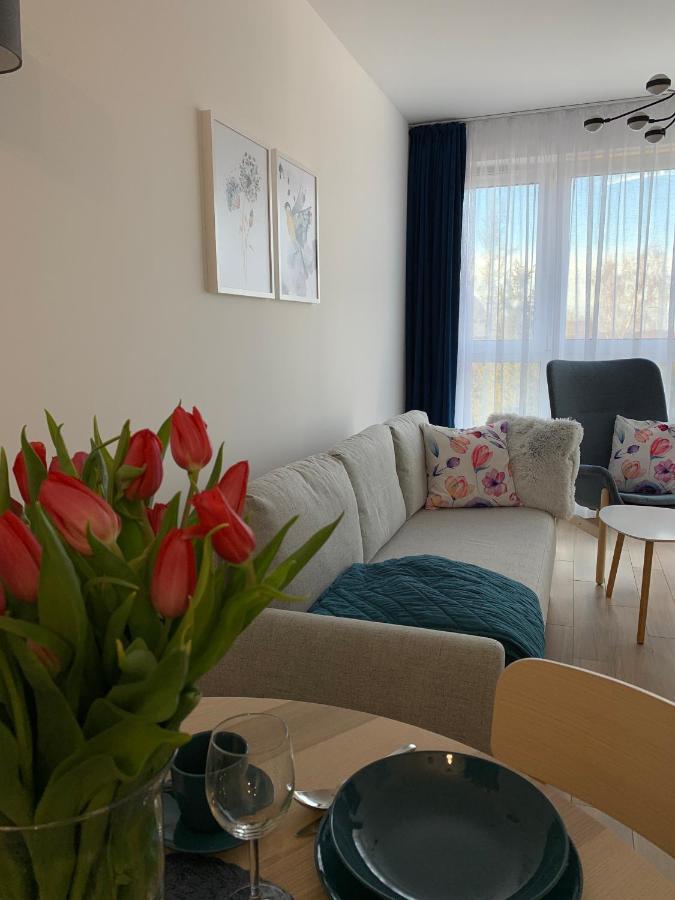 Bliska 33 Apartment Bielsko-Biala